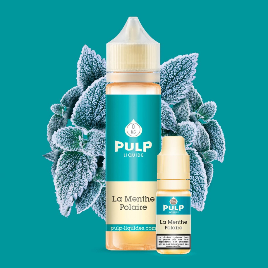PULP LA MENTHE POLAIRE 50ML